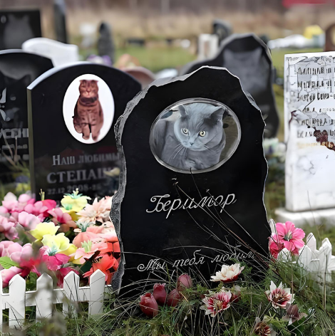 Защо трябва да считаме мемориал за домашни любимци?